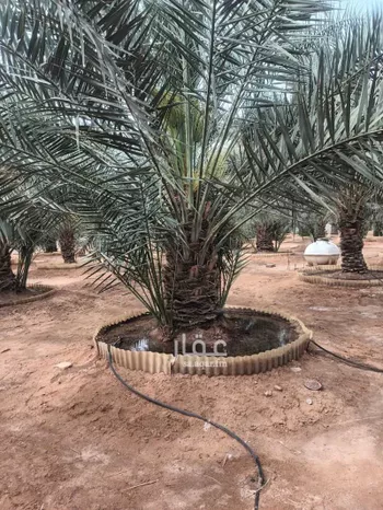 استراحة للبيع في شارع الحزم والبطينه 1 ، الخرج ، الدلم صورة 5