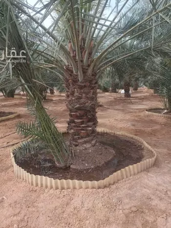 استراحة للبيع في شارع الحزم والبطينه 1 ، الخرج ، الدلم صورة 3
