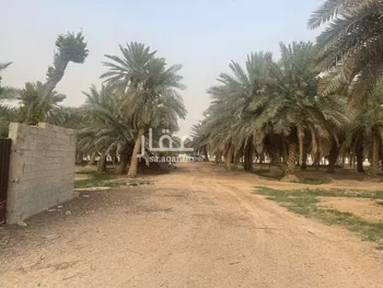 أرض للإيجار في شارع الخضر, حي صويدرة, مدينة الاحساء, المنطقة الشرقية صورة 2