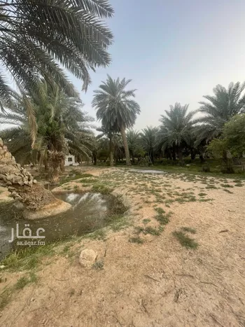 أرض للإيجار في شارع الخضر, حي صويدرة, مدينة الاحساء, المنطقة الشرقية صورة 3