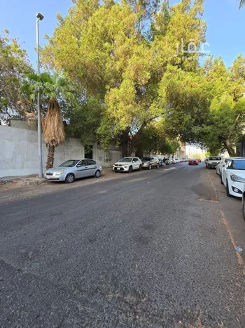 أرض للبيع في شارع ابو بكر الحلواني, حي قباء, مدينة جدة, منطقة مكة المكرمة صورة 4