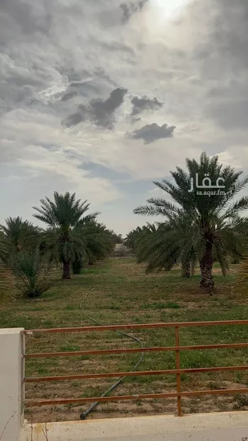 مزرعة للبيع في حي النخيل, مدينة حريملاء, منطقة الرياض صورة 2