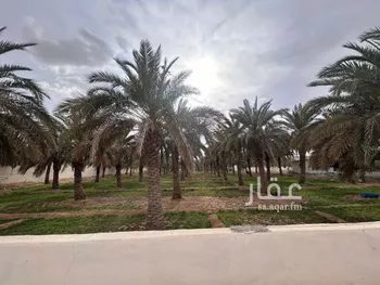 مزرعة للبيع في حي النخيل, مدينة حريملاء, منطقة الرياض صورة 5