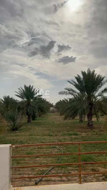 مزرعة للبيع في حي النخيل, مدينة حريملاء, منطقة الرياض صورة 3
