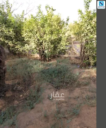 أرض للإيجار في شارع عمر بن الخطاب, حي التوفيق, مدينة بريده, منطقة القصيم صورة 4