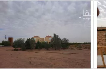 مزرعة للبيع في مدينة الجله, منطقة الرياض صورة 5