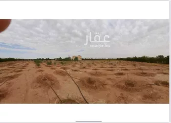 مزرعة للبيع في مدينة الجله, منطقة الرياض صورة 4
