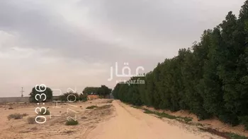 مزرعة للبيع في شارع الامير محمد ابن فهد ابن عبدالعزيز, حي الإزدهار, مدينة مليجه, المنطقة الشرقية صورة 5