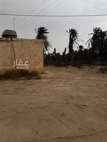 مزرعة للبيع في شارع العام , مدينة الحناه, المنطقة الشرقية صورة 4