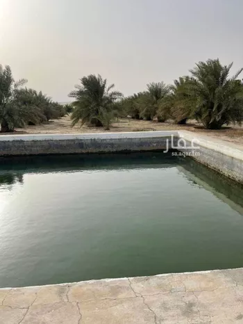 مزرعة للبيع في مدينة الحناه, المنطقة الشرقية صورة 3