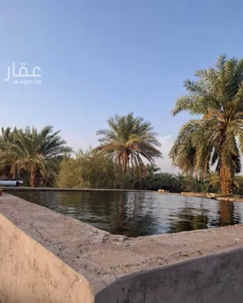 مزرعة للبيع في شارع 100, حي المليليح, مدينة المدينه المنوره, منطقة المدينة المنورة