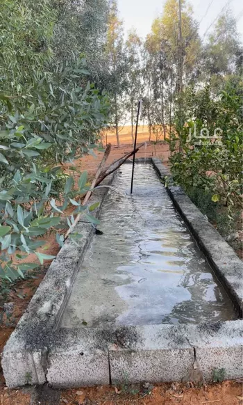 استراحة للإيجار في الجبيلي ، بقعاء صورة 3