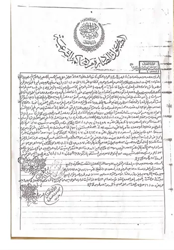 أرض للبيع في شارع السلوى 27 ، حي السلوى ، أحد رفيدة ، احد رفيدة صورة 2