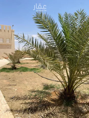 فيلا للبيع في شارع ابو بكر الصديق, حي البره, مدينة البره, منطقة الرياض صورة 4