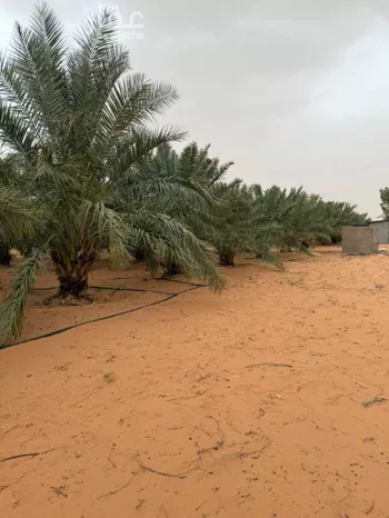 مزرعة للبيع في عين ابن فهيد ، الاسياح صورة 3