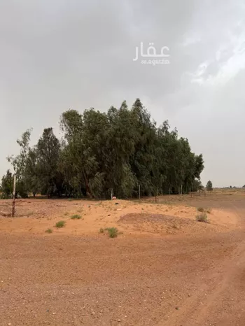 مزرعة للبيع في عين ابن فهيد ، الاسياح صورة 5