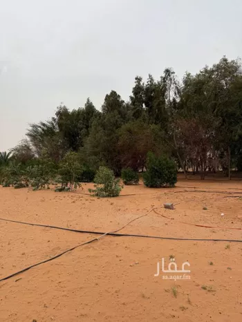 مزرعة للبيع في عين ابن فهيد ، الاسياح صورة 2
