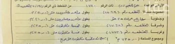 أرض للبيع في شارع احمد بن حنبل ، حي الصليب الشرقي ، رابغ ، رابغ صورة 3
