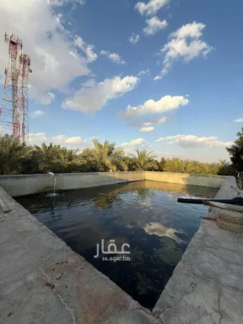 مزرعة للبيع في شارع الحصين بن الحارث القرشي, مدينة قريه ديراب, منطقة الرياض صورة 3