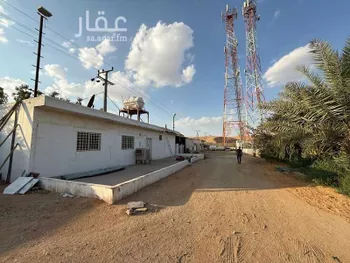 مزرعة للبيع في شارع الحصين بن الحارث القرشي, مدينة قريه ديراب, منطقة الرياض صورة 2