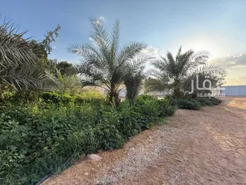 مزرعة للبيع في شارع الحصين بن الحارث القرشي, مدينة قريه ديراب, منطقة الرياض صورة 4