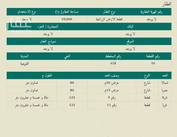 أرض للبيع في حي مزارع الدغيبيس (الفروج الذهبي), مدينة مزارع الدغيبيس (الفروج الذهبي), منطقة الرياض صورة 3