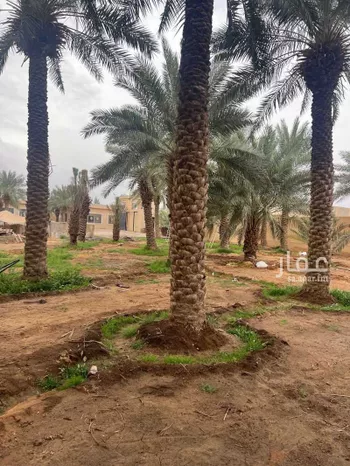 محل للإيجار في شارع عمرو ابن قيس ابن زائدة, حي الصقورية, مدينة المزاحميه, منطقة الرياض صورة 2