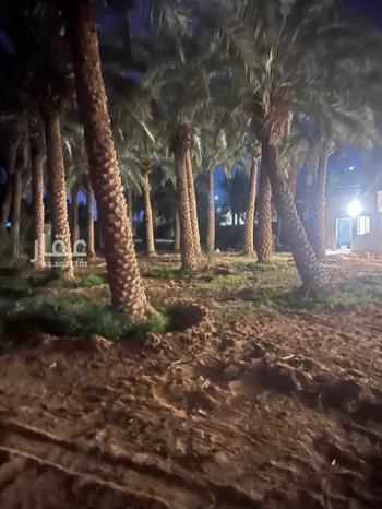 محل للإيجار في شارع عمرو ابن قيس ابن زائدة, حي الصقورية, مدينة المزاحميه, منطقة الرياض