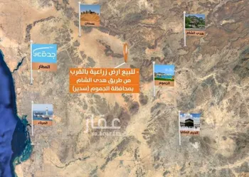 أرض للبيع في شارع شارع, حي مزرعه طه حضراوي للدواجن, مدينة مزرعه طه حضراوي للدواجن, منطقة مكة المكرمة صورة 3