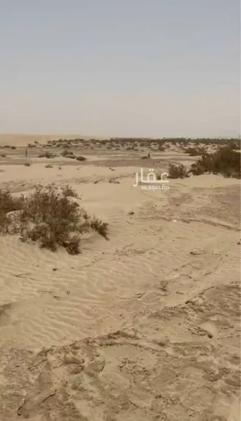 أرض للبيع في القنفذة صورة 3