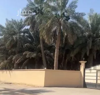 مزرعة للبيع في حي بلدة بني معن, مدينة الاحساء, المنطقة الشرقية