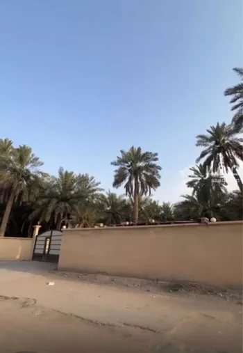 مزرعة للبيع في حي بلدة بني معن, مدينة الاحساء, المنطقة الشرقية صورة 4