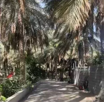 مزرعة للبيع في حي بلدة بني معن, مدينة الاحساء, المنطقة الشرقية صورة 2