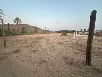مزرعة للبيع في شارع خالد بن عبدالعزيز ، بيشة ، بيشة صورة 2
