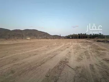 مزرعة للبيع في شارع خالد بن عبدالعزيز ، بيشة ، بيشة صورة 3