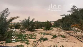 مزرعة للبيع في حي السديره, مدينة السديره, المنطقة الشرقية صورة 5