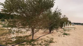 مزرعة للبيع في حي السديره, مدينة السديره, المنطقة الشرقية صورة 2