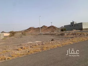 أرض للبيع في حي الصهلوج, مدينة المدينه المنوره, منطقة المدينة المنورة صورة 4