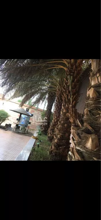 فيلا للبيع في شارع عبدالمحسن بن عبدالعزيز, حي الروابي, مدينة المدينه المنوره, منطقة المدينة المنورة صورة 3