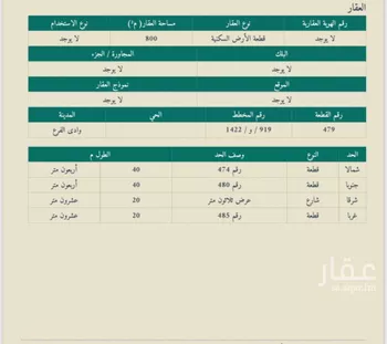 أرض للبيع في حي مخطط وادي الفرع, مدينة وادي الفرع, منطقة المدينة المنورة صورة 3