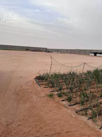 أرض للإيجار في شارع الرفايع 1987, حي الرفايع, مدينة الخرج, منطقة الرياض