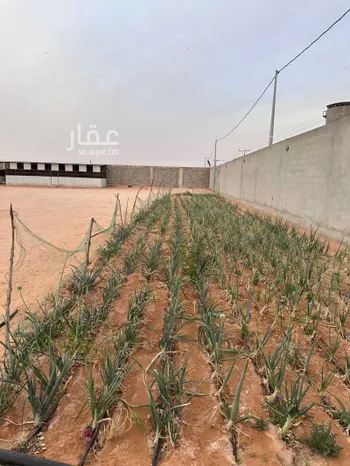 أرض للإيجار في شارع الرفايع 1987, حي الرفايع, مدينة الخرج, منطقة الرياض صورة 3