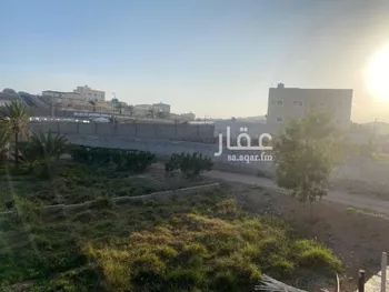 مزرعة للبيع في شارع 9.5, مدينة امارة منطقة مكة المكرمة - الطائف, منطقة مكة المكرمة صورة 3