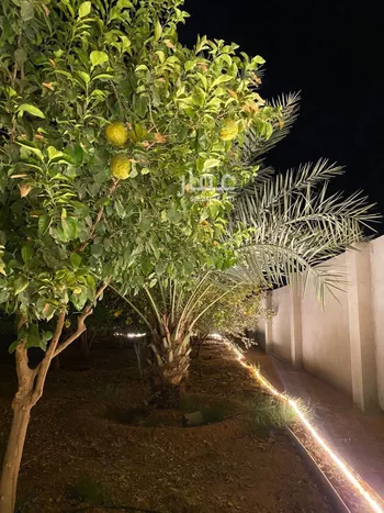 استراحة للبيع في حي هجره الذيبيه وخضراء, مدينة هجره الذيبيه وخضراء, منطقة الرياض صورة 4