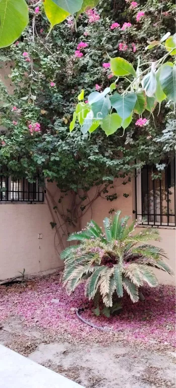 فيلا للإيجار في شارع وادي الأملاح, حي الملك عبدالعزيز, مدينة الرياض, منطقة الرياض صورة 3