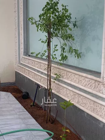 شاليه واستراحة للحجز في شارع الأبرار, حائل صورة 3