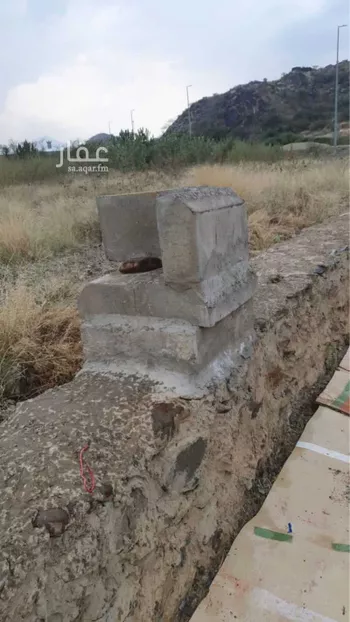 أرض للإيجار في رجال المع صورة 3