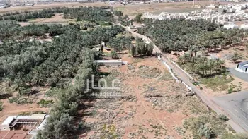 مزرعة للبيع في شارع الرعايه, حي السويفلة الجديد, مدينة حائل, منطقة حائل صورة 5