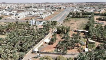 مزرعة للبيع في شارع الرعايه, حي السويفلة الجديد, مدينة حائل, منطقة حائل صورة 3