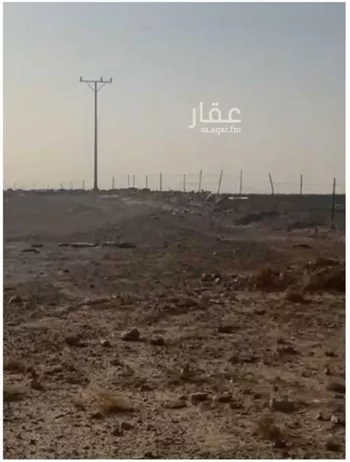 مزرعة للبيع في شارع الملك عبد العزيز, حي المربع, مدينة المربع, منطقة القصيم صورة 3